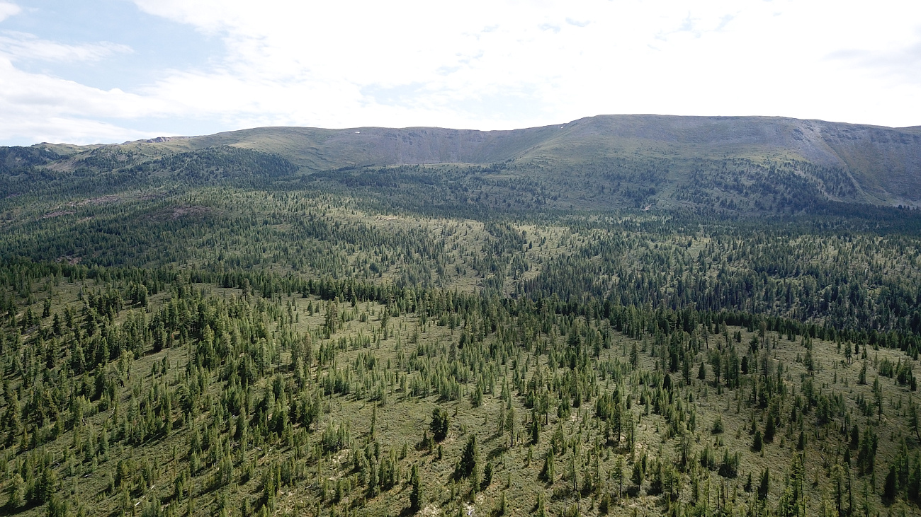 DJI_0049.JPG